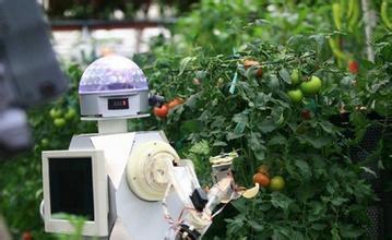 �W���W����ʲô����