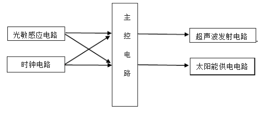 ������B�����g