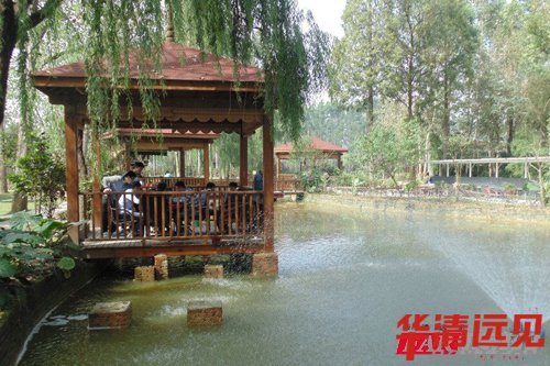 【曬照片】三圣鄉(xiāng)江家菜地一日游-成都學(xué)員活動(dòng)